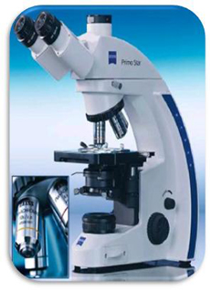 microscopio1